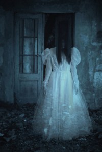 Image credit: Lario Tus