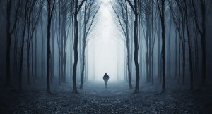 Image credit:andreiuc88/Shutterstock.com