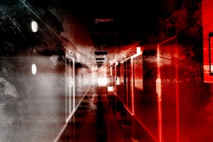 Image credit: Hyena Reality/Shutterstock.com