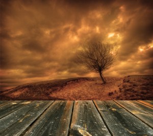 Image credit: Marcin Perkowski/Shutterstock.com