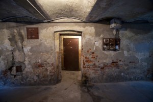 Image credit: wiktord/Shutterstock.com