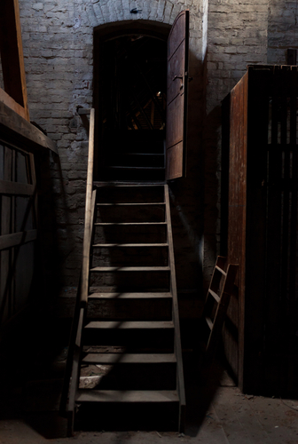 shutterstock_752228971