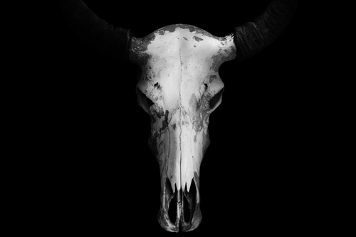 shutterstock_695070127