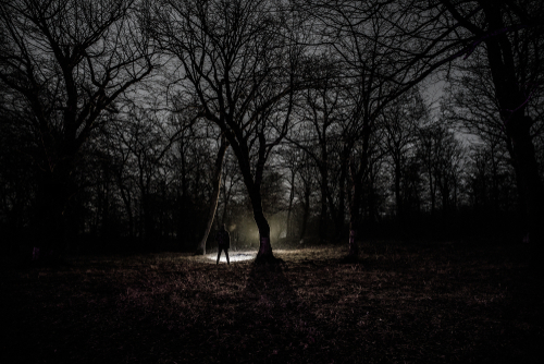 shutterstock_1048550195