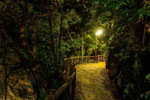 shutterstock_1292564083