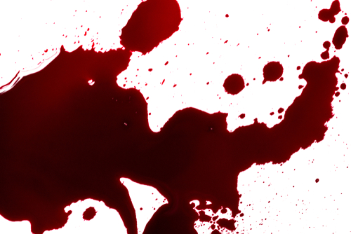 shutterstock_1293481657